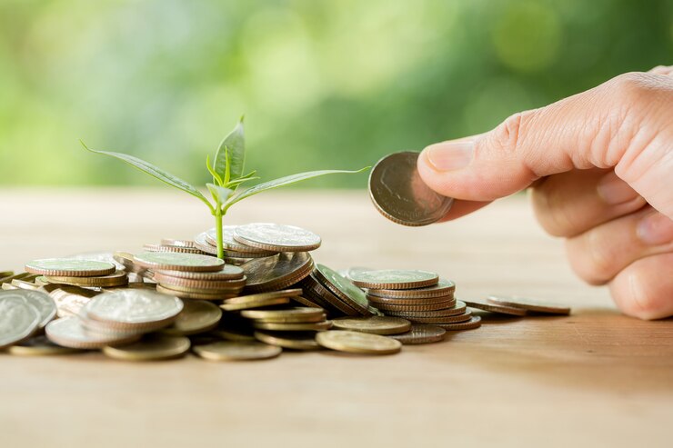 Free Photo planting trees on a coin pile with sunlight