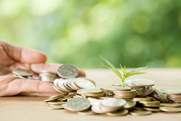 Free photo planting trees on a coin pile with sunlight