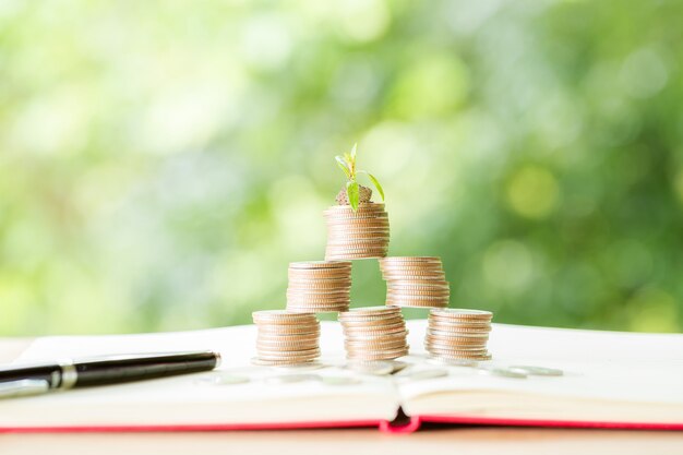 Planting trees on a coin pile with sunlight