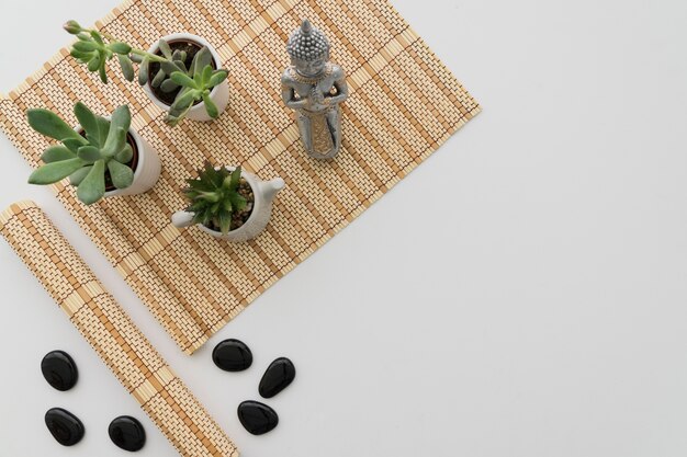 植物、仏、黒石
