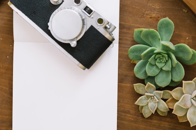 Plants and camera