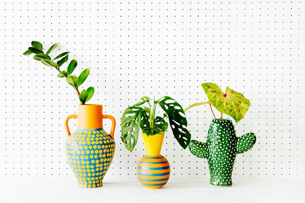 Plants in colorful ethnic vase