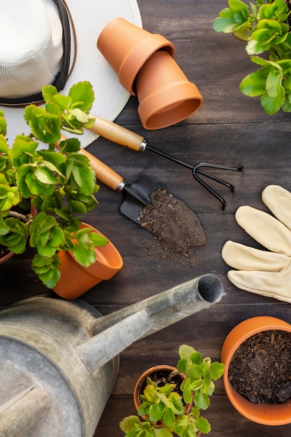 Plants gardening tools close up