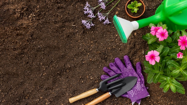 Plants gardening tools close up