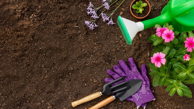 Plants gardening tools close up