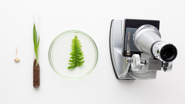 Plants and laboratory items flat lay