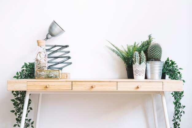 Plants and lamp on desk