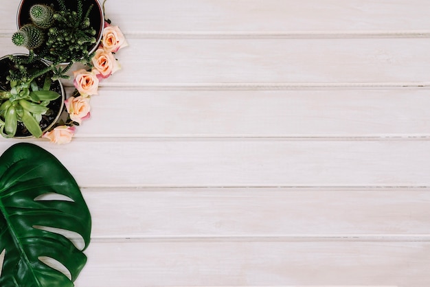 Plants and leaf on wooden surface with space