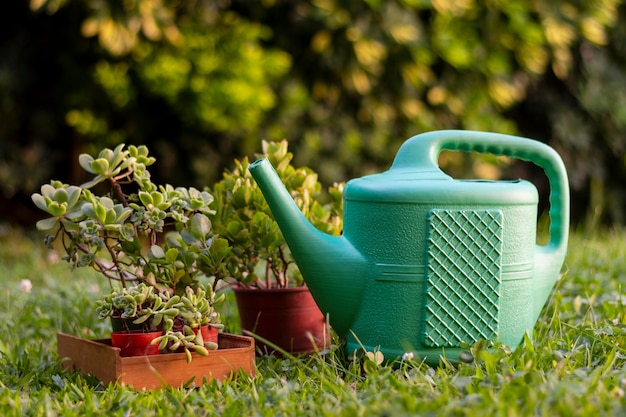 Plants pot with watering can
