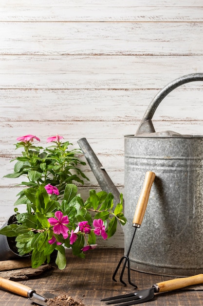 Plants pot with watering can
