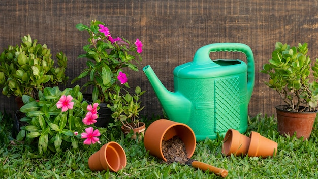 Plants pot with watering can