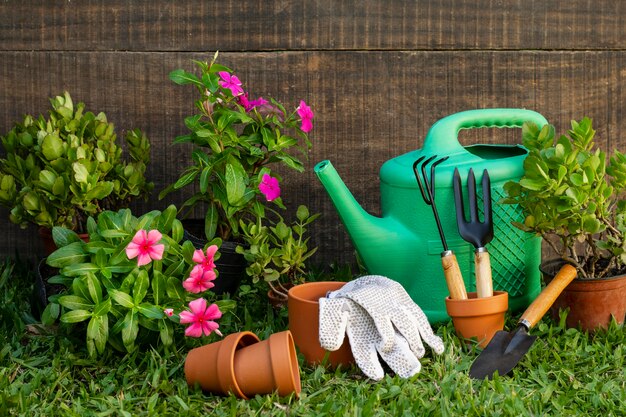 Plants pot with watering can