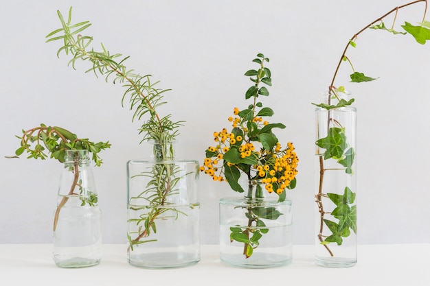 Plants in transparent vase on desk against white backdrop