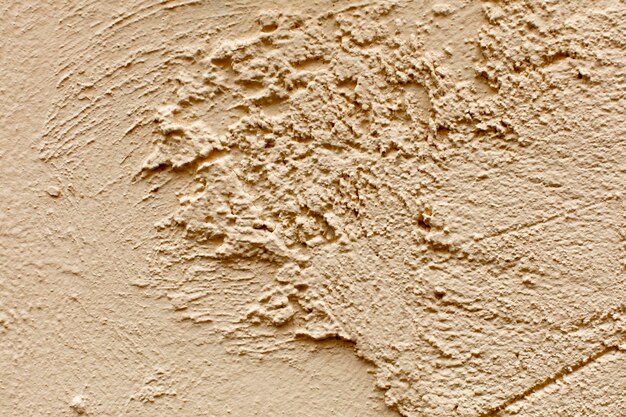 Free photo plaster or cement texture and background