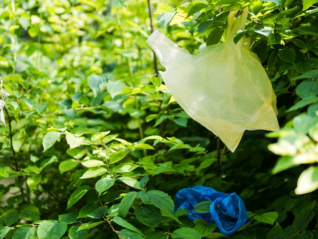 Free photo plastic bag hanging on tree branch at garden