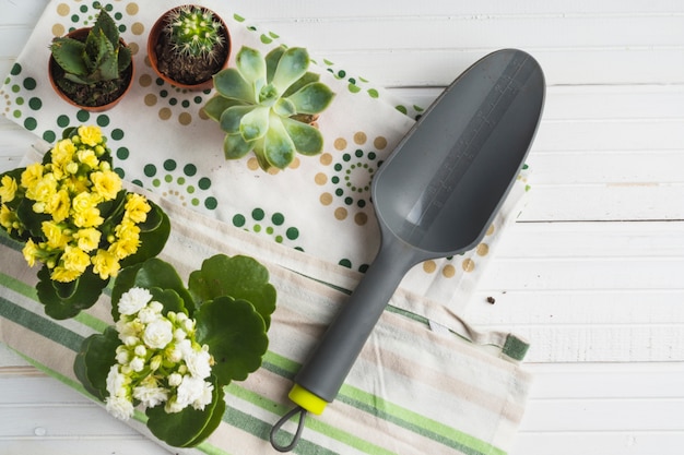 Пластиковая лопата с суккулентным горшечным растением на салфетке над столом