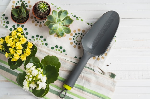 Plastic shovel with succulent potted plant on napkin over the table