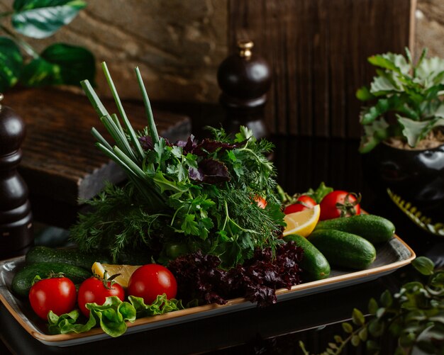 A plate of fresh seasonal vegetables including tomatoes, cucumbers and variety of greenery