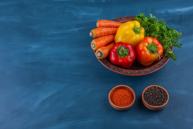 Plate of various fresh ripe vegetables on blue. 