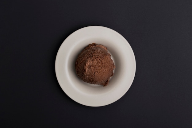 Free photo plate with chocolate ice cream