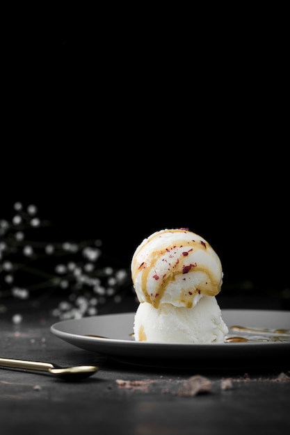 Free photo plate with vanilla ice cream scoops on table