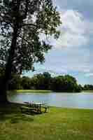 Free photo pleasant park scenery with sun rays shining in the lake