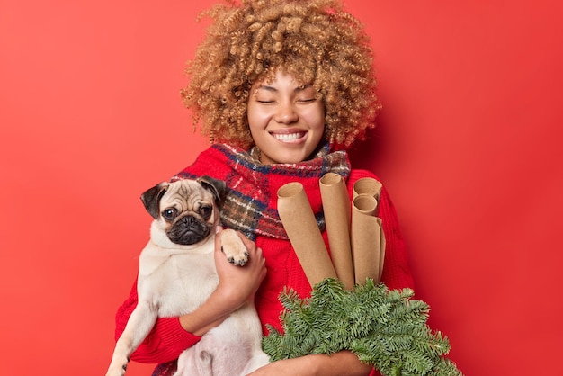 Pleased curly haired woman bites lips keeps eyes closed giggles positively holds pedigree pug dog green spruce wreath and rolled paper for decor isolated over red background prepares for New Year