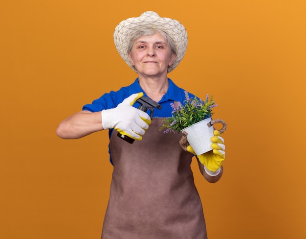 Foto gratuita giardiniere femminile anziano soddisfatto che indossa cappello e guanti da giardinaggio che tengono la bottiglia dello spruzzo e il vaso di fiori sull'arancio