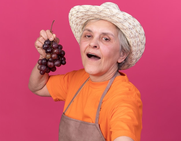 無料写真 ブドウの房を持って、ピンクで自分撮りをしているカメラを見てガーデニング帽子をかぶって喜んでいる年配の女性の庭師
