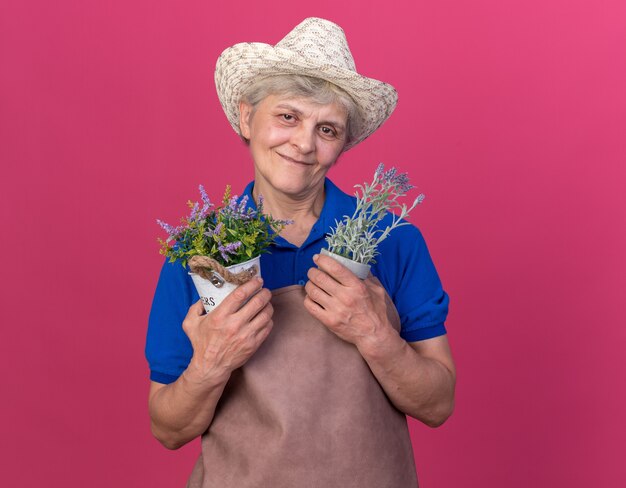 Pleased elderly female gardener wearing gardening hat holding flowerpots on pink