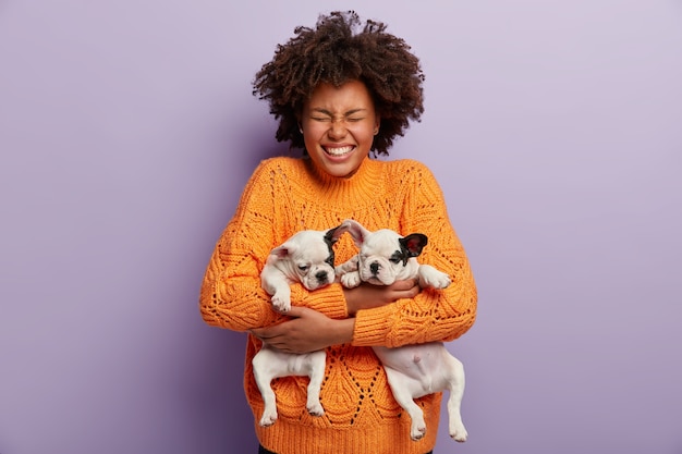 アフロのヘアカットで大喜びの暗い肌の女性は、2匹の小さな犬を抱き、目を閉じ、オレンジ色のセーターを着て、紫色の壁にポーズをとっています。ポジティブな女の子は家で好きなペットと遊ぶ