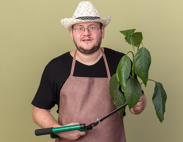 オリーブグリーンの壁に隔離されたバリカンと植物を保持している園芸帽子を身に着けている若い男性の庭師を喜ばせる