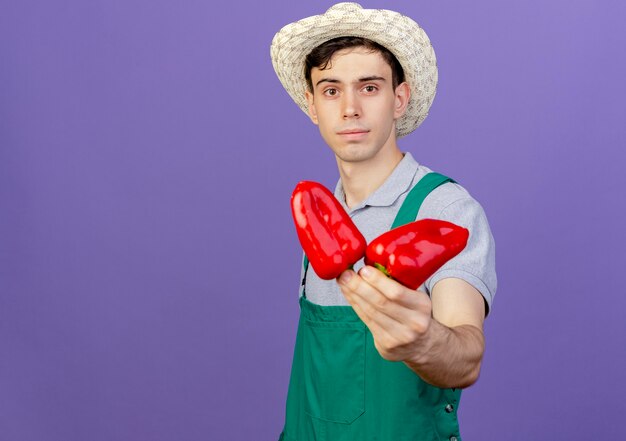 Pleased young male gardener wearing gardening hat holds red peppers