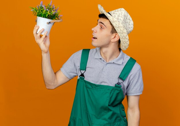 Pleased young male gardener wearing gardening hat looks at flowers in flowerpot