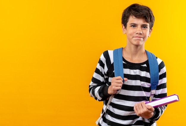 Pleased young school boy wearing backpack holding book 