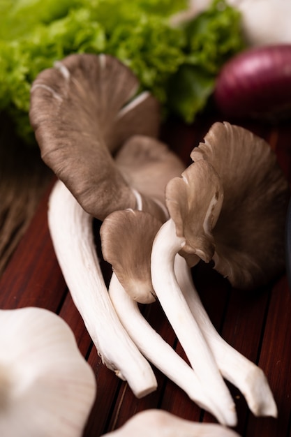 Free photo pleurotus pulmonarius or white fairy mushroom placed on a piece of wood