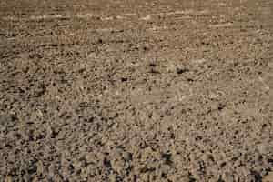 Free photo plowed field in spring preparation for sowing crops caring for the ecology of the earth agricultural work on the farm