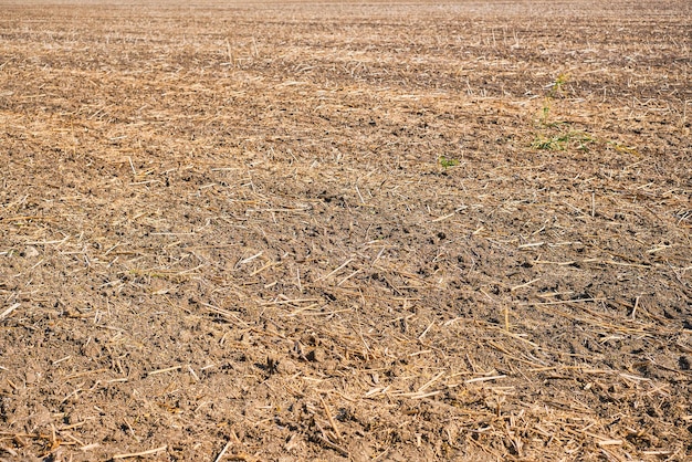 Foto gratuita messa a fuoco selettiva del campo di riposo arato