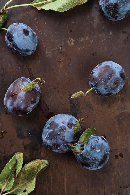 Plums with leaves on a metal table vertical frame top view Beautiful ripe prunes harvesting fruits in autumn eco products from the farm Selective focus shallow depth of field
