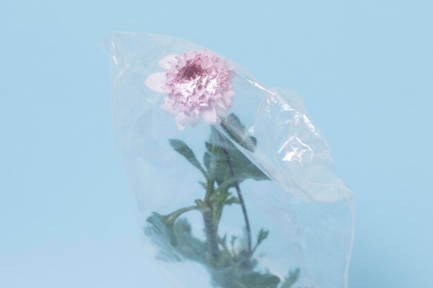 プラスチック廃棄物の汚染概念