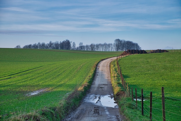 Пруд на узкой дороге в окружении сельскохозяйственных полей в пасмурный день в Марансарте, Бельгия