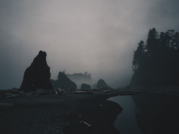 Pond near a forest and sticks on a ground and a silhouette of rocks with fog surrounding them