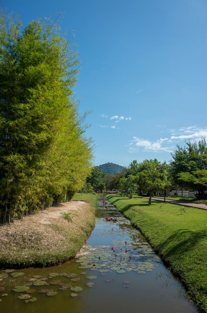 연못과 공원 산책로