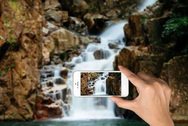 Piscina telefono turista prendendo boschi