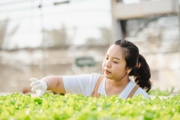들판에서 채소를 보고 작물 품질을 확인하는 아시아 농부 여성의 초상화. 유기농 농장 개념입니다.