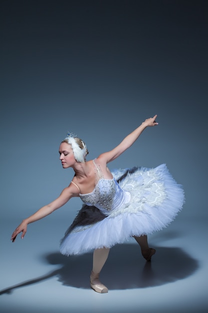 Портрет балерины в роли белого лебедя на синем фоне