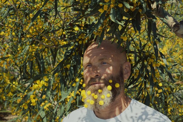 Portrait of a bearded mature man in a white tank top and yellow acacia flowers in his beard standing near a flowering mimosa bush