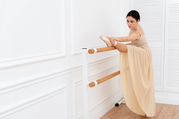 Free photo portrait of beautiful ballerina dancer