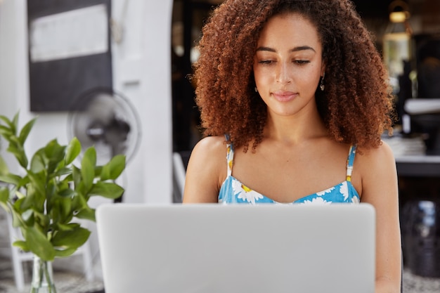 Portrait of busy African American female freelancer focused in laptop computer, satisfied with successful online business, works hard to achieve success