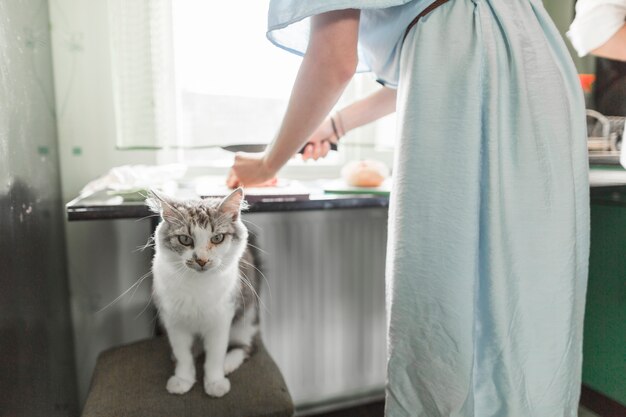 朝食を準備する女性の前で猫の肖像画